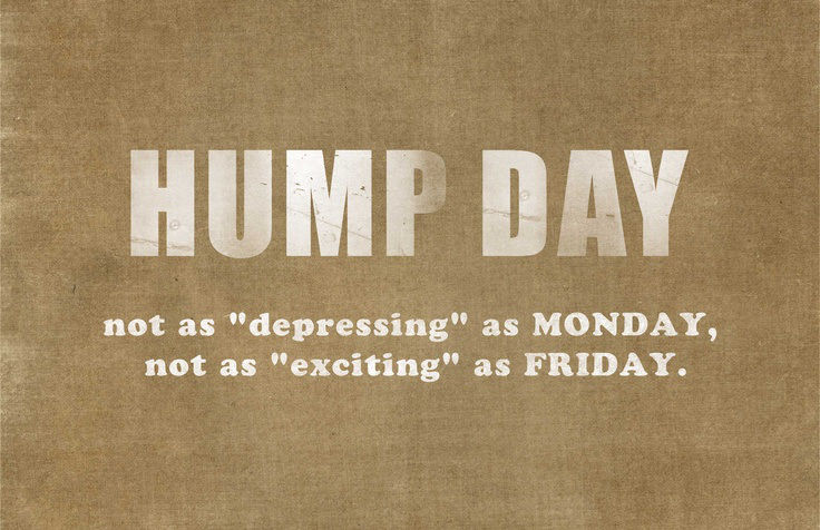 hump day wednesday tumblr